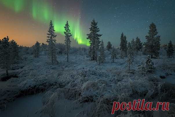 Полярное сияние в Мурманской области. Автор фото: Вадим Ивченко. Добрых снов.