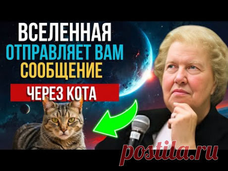 МИССИЯ КОШЕК НА ЗЕМЛЕ – КАКОЕ ПОСЛАНИЕ ОН ХОЧЕТ НАМ ПЕРЕДАТЬ? ЗАКОН ПРИТЯЖЕНИЯ
