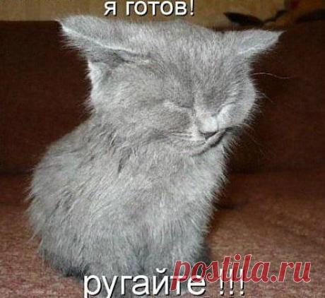 Мой Мир@Mail.Ru