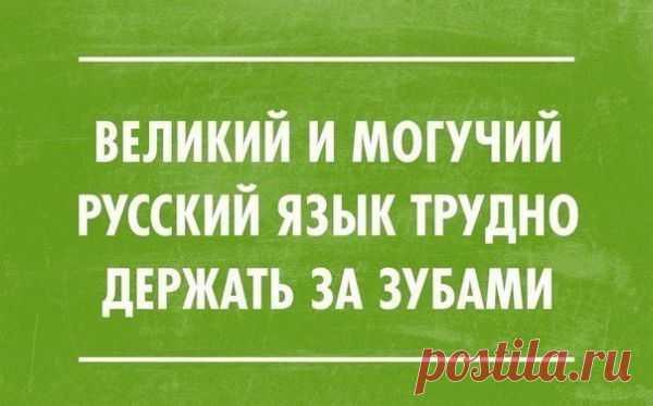 Лучшие цитаты интернета. Класс! | ТопФотоПрикол