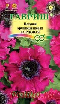 Семена. Петуния 