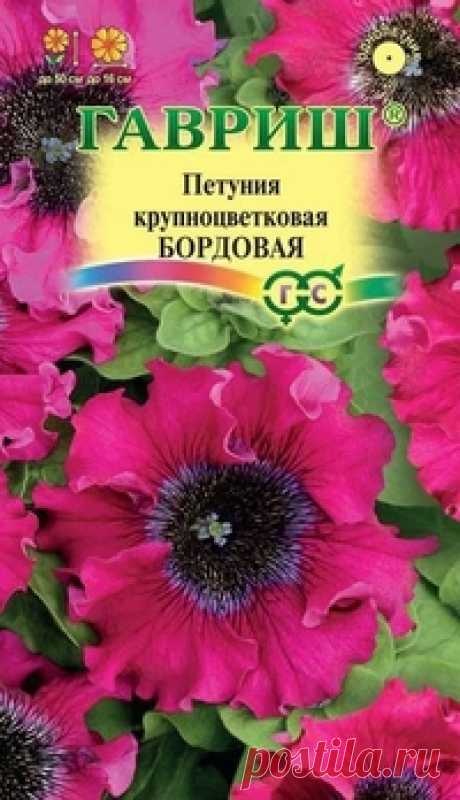 Семена. Петуния "Бордовая", бахромчатая (10 штук) Всхожесть: 91%.
Уникальная серия сортов петуний с огромными (до 16 см!) бахромчатыми цветками. Кустики мощные, компактные, густооблиственные, высотой до 50 см. Цветет обильно с мая до заморозков. Цветки бордового цвета с эффектным акцентом — темным жилкованием в виде ажурной сеточки...