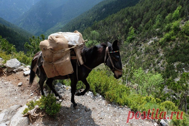 Вся материковая Греция (на машине из Москвы) • Форум Винского