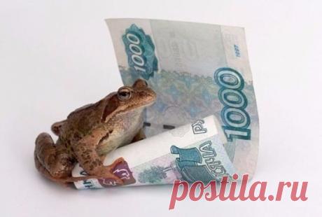 (5) Одноклассники