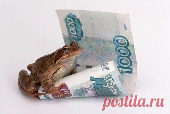 (5) Одноклассники