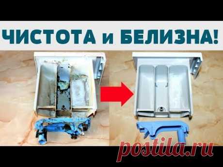 КАК ПОЧИСТИТЬ ЛОТОК СТИРАЛЬНОЙ МАШИНЫ от ГРЯЗИ, ПЛЕСЕНИ
