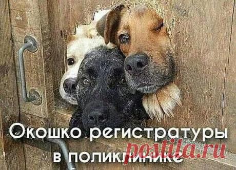 ༺🌸༻СПРОСИТЬ МОЖНО?