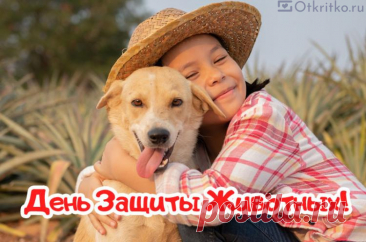 Всех любителей забавных
Братьев наших меньших.
С днем животных поздравляю
Славных и умнейших. Открытки на День защиты животных.