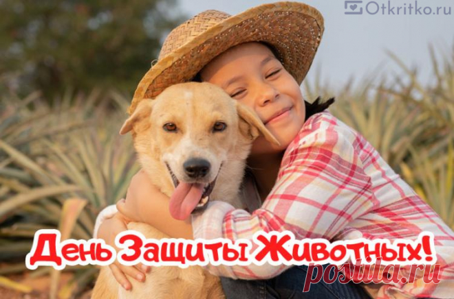 Всех любителей забавных
Братьев наших меньших.
С днем животных поздравляю
Славных и умнейших. Открытки на День защиты животных.