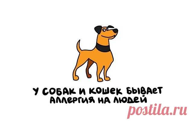 Интересные факты на все случаи жизни - 15 картинок - Нет скуки.ру - Источник позитивного настроения.
