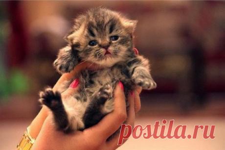 Радость моя!