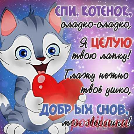 Красивые и нежные картинки для любимой девушки: пожелания спокойной ночи и сладких, красивых снов (37 картинок) ⭐ Забавник