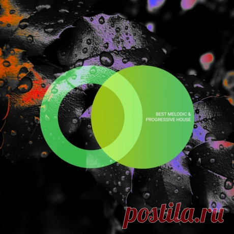 VA – Best Melodic &amp; Progressive House 2024 [AVE255]