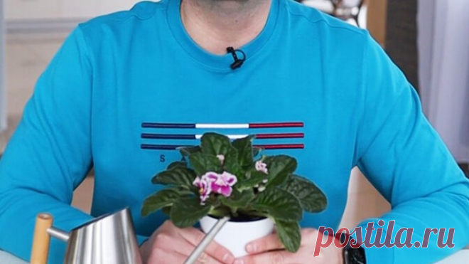 Волшебная таблетка для крепкой рассады и больших урожаев! Есть в каждой аптеке, а эффект моментальный!
