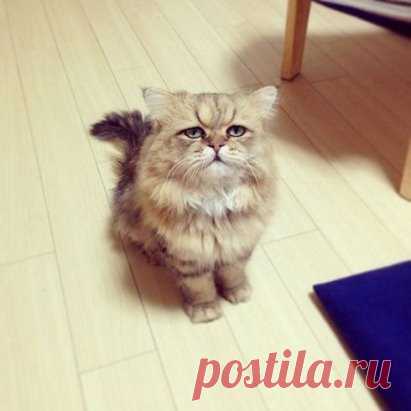 Муж оставил записку: 