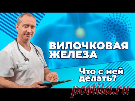 Вилочковая железа. Защита от вирусов и бактерий!