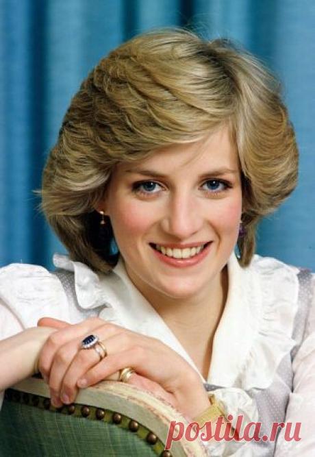 АЛЕКСАНДР ВАСИЛЬЕВ&amp;ДРУЗЬЯ
Елена Шатунова