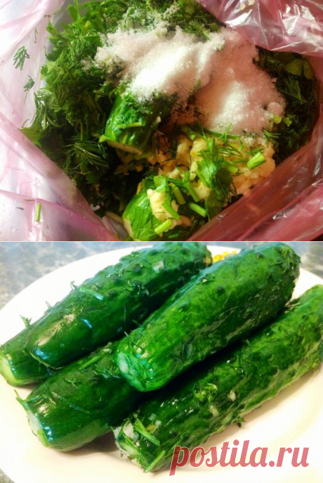 Как приготовить малосольные огурцы - рецепт, ингредиенты и фотографии