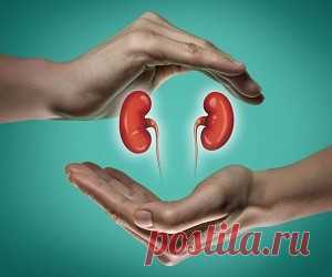 5 растительных рецептов для здоровья почек
Пиелонефрит – это воспалительное заболевание, поражающее почечную лоханку. Очень часто эта болезнь почек встречается у детей, уступая по частоте только заболеваниям дыхательной системы. Причинами возникновения пиелонефрита могут быть: — инфекционные заболевания органов дыхания (ангина, грипп, пневмония, синуситы и другие);— болезни зубов и полости рта...
Читай пост далее на сайте. Жми ⏫ссылку выше