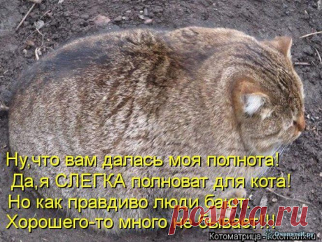 Редактирование сайта