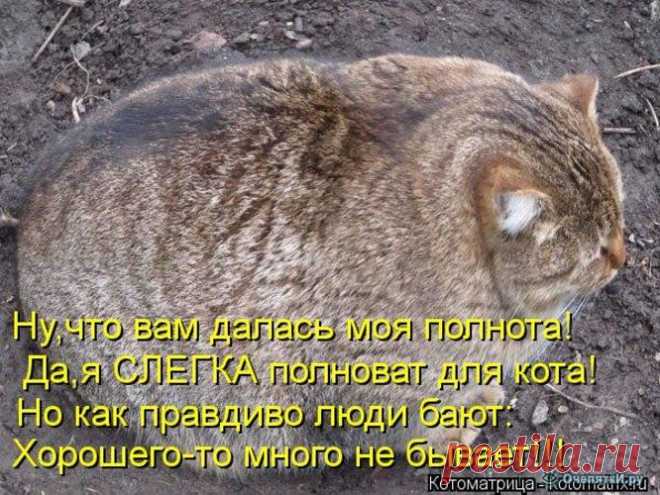 Редактирование сайта