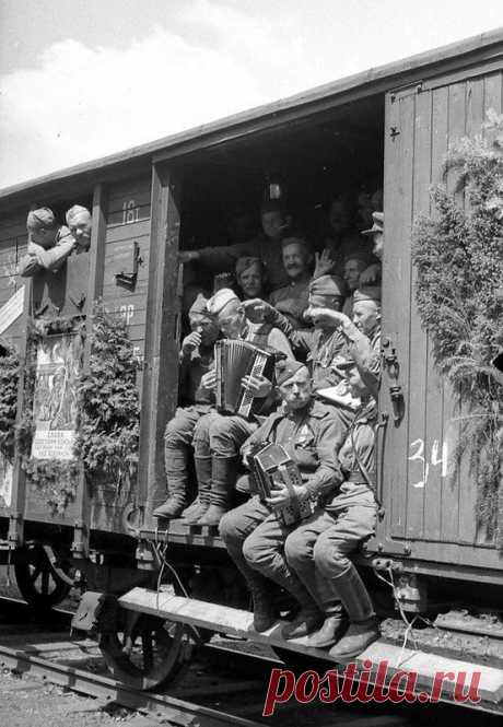 С Днём Победы! Покажите это друзьям! / Писец - приколы интернета