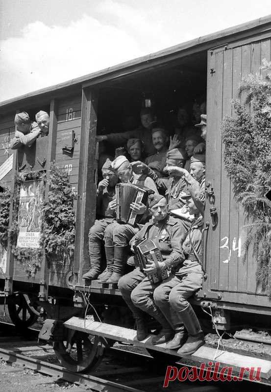 С Днём Победы! Покажите это друзьям! / Писец - приколы интернета