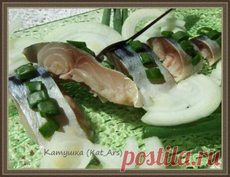 Слабосоленая скумбрия домашнего посола