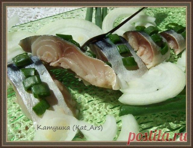 Слабосоленая скумбрия домашнего посола