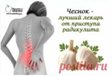 Чеснок, как лучший и быстрейший исцелитель от приступа радикулита..