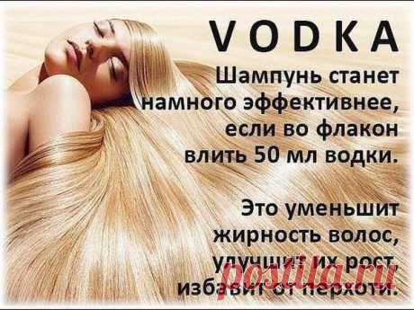 ВОДКА И ТРИНАДЦАТЬ СПОСОБОВ ЕЕ НЕОБЫЧНОГО ПРИМЕНЕНИЯ