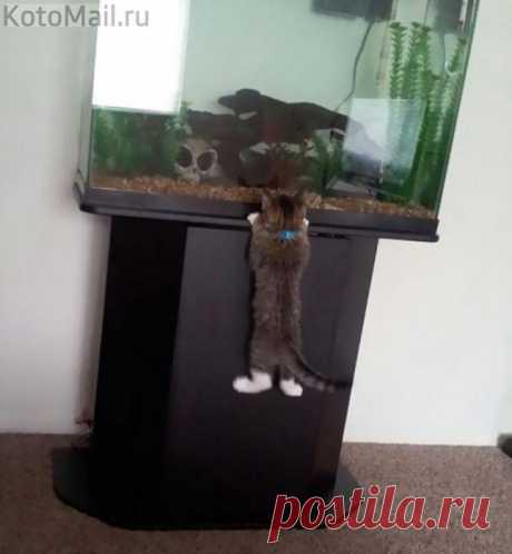 Как же интересно... туда забраться...