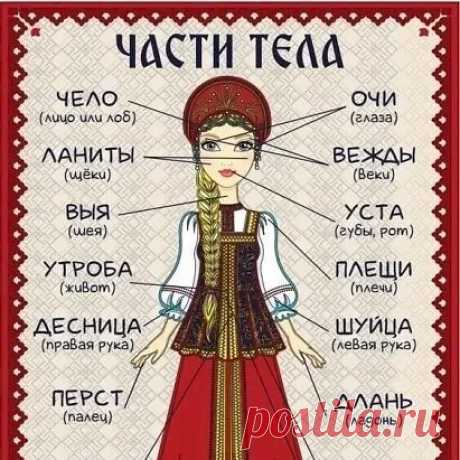 Выпуск №3599 - выпуск анекдотов сайта вокруг смеха