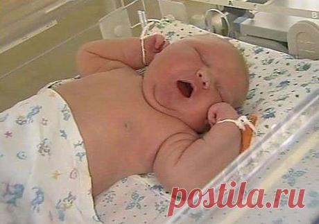 На слова акушерки &quot;Придется надрезать, очень крупный&quot; будущая мать кричала: &quot;Тимофей, втяни щеки, мы не проходим&quot;