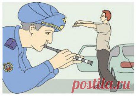 "Скорая помощь" для огурцов: профилактика и лечение болезней