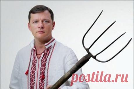 Ляшко задекларировал вилы - Rusnewstoday24