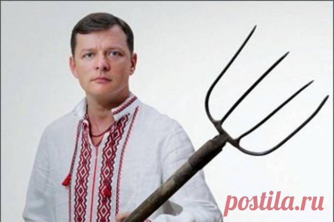 Ляшко задекларировал вилы - Rusnewstoday24