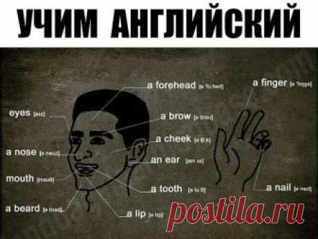 УЧИМ  АНГЛИЙСКИЙ
300 первых слов. 24 смысловые группы.

please (плиз) - пожалуйста, прошу. sorry (сори) - извините
you are welcome (ю а вэлкам) - пожалуйста, не за что
hello (хэллоу) - здравствуйте. hi (хай) - привет

goodbye (гудбай) - до свидания, пока. see you (cи ю) - увидимся
yes (да) - да. no (ноу) - нет. not (нот) - не
this (зис) - этот. that (зэт) – тот

name (нэйм) - имя. address (эдрэс) - адрес
phone number (фоун намбэр) - номер. age (эйдж) - возраст
married (мэр...