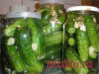 Все Рецепты Интернета: Незабываемые на вкус ОГУРЧИКИ в пражской заливке