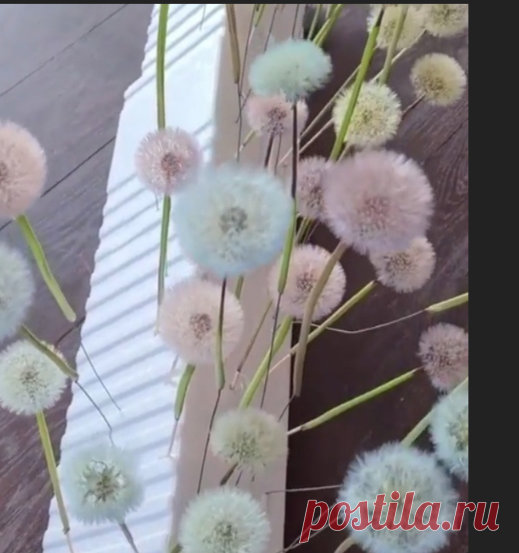 Ольга Гусева