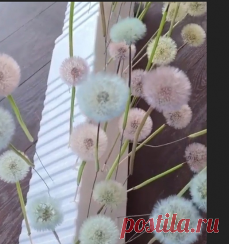 Ольга Гусева