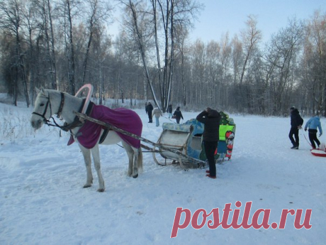 Светлана Болотова