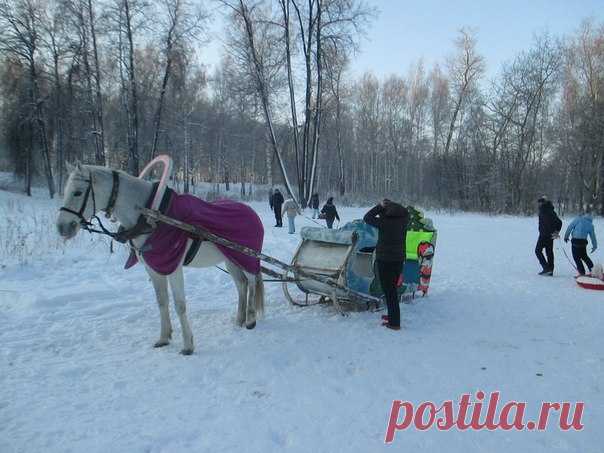 Светлана Болотова