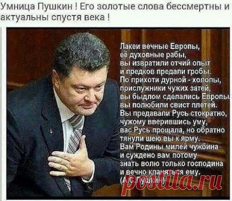 (59) Одноклассники