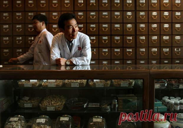 (37) Китайская аптека: краткая энциклопедия лекарственных растений - ПолонСил.ру - социальная сеть здоровья - 24 июня - 43134985320 - Медиаплатформа МирТесен Традиционная медицина использует множество экзотических лекарственных средств. Но, кроме них, в ее арсенале немало совершенно обыкновенных, знакомых нам растений. Самые распространенные ингредиенты ТКМ — в энциклопедии «Вокруг света» Энциклопедия Женьшень (лат. Pаnax ) «Корень жизни» замедляет - 24 июня - 43134985320 ...