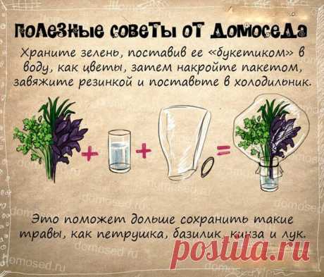 Супер полезные советы | Болтай