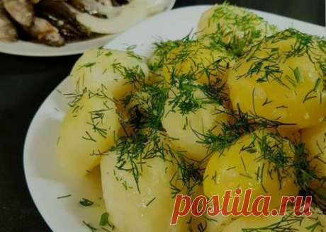 Почему моя вареная картошка, вкуснее, чем у других. Секрет - в заправке | Отчаянная Домохозяйка | Яндекс Дзен