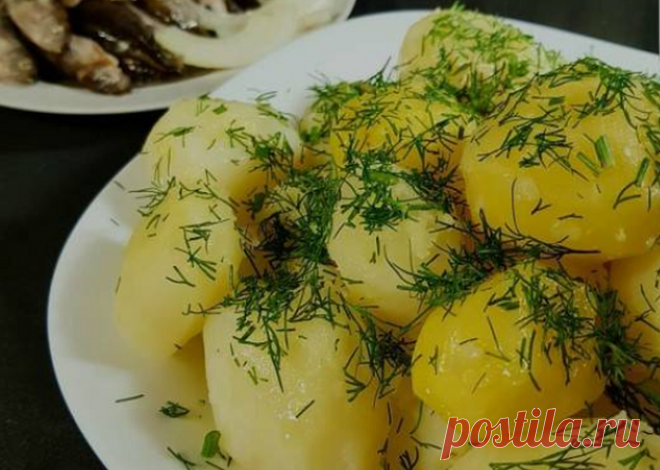 Почему моя вареная картошка, вкуснее, чем у других. Секрет - в заправке | Отчаянная Домохозяйка | Яндекс Дзен
