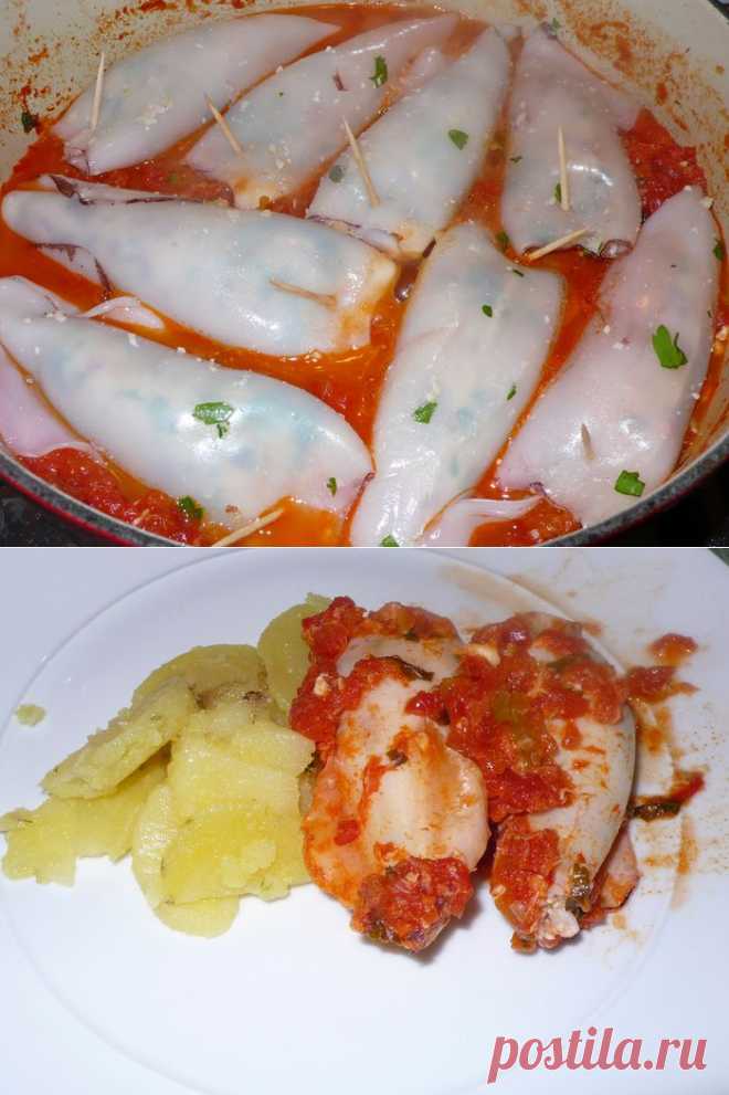 Без заголовка.