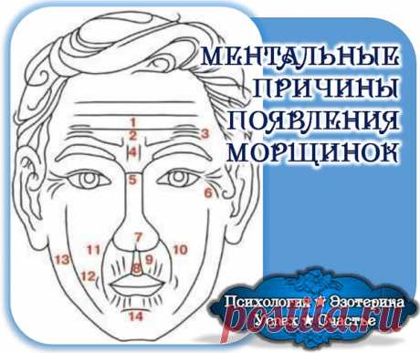 МЕНТАЛЬНЫЕ ПРИЧИНЫ ПОЯВЛЕНИЯ МОРЩИН Аюрведический центр красоты и здоровья «Живая вода»

МЕНТАЛЬНЫЕ ПРИЧИНЫ ПОЯВЛЕНИЯ МОРЩИН
Известно, что все внутренние органы и части физического тела человека тесно связаны между собой, причем каждая …